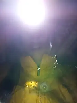 jerry-xx's cam snapshot