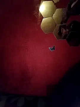 SX-ANGEL's cam snapshot