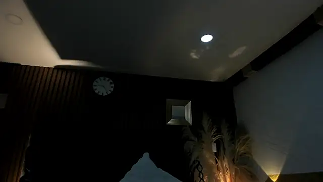 3x_naxa's cam snapshot