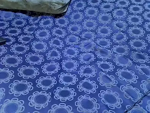 Proxy_Paige's cam snapshot