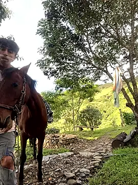 sky-wolves's cam snapshot