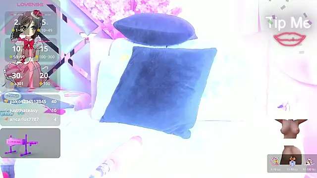 LizSheibaum's cam snapshot