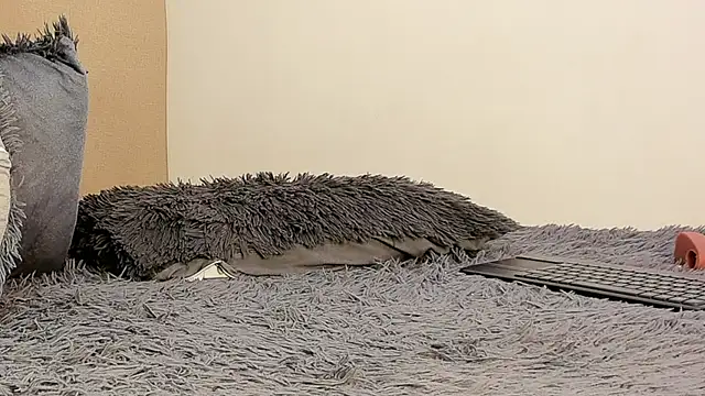 im_lilith live sex cam