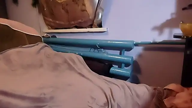 _Kitti_'s cam snapshot