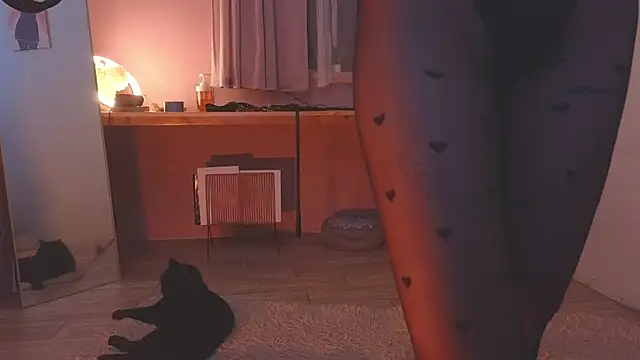 laracroftmansion's cam snapshot