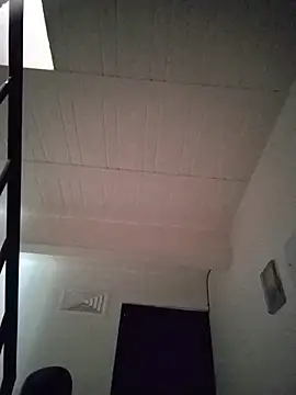 taaylor33 live sex cam