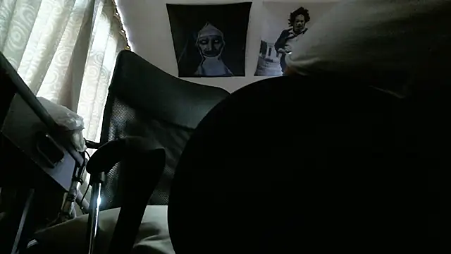 _ari_gato_'s cam snapshot