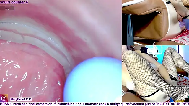 MaryBrook1 live sex cam