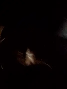 Mikasa-Ackerman live sex cam