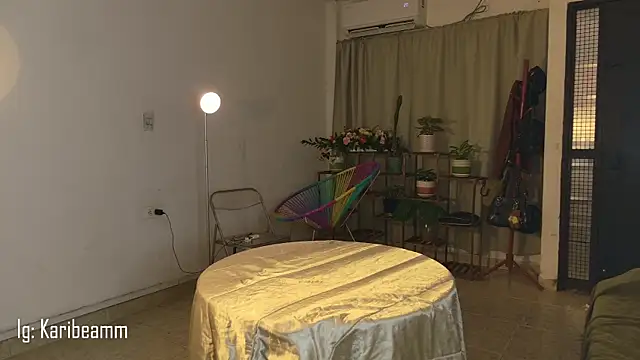 Karibeam's cam snapshot