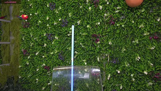 Ana_Lexus's cam snapshot