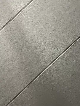 Tassiagay's cam snapshot