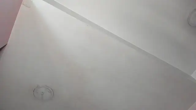 Anittatoro_ live sex cam