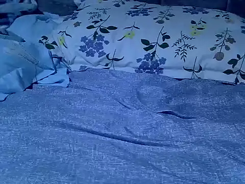 Lutyie's cam snapshot