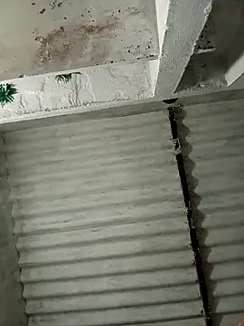 Payal950's cam snapshot