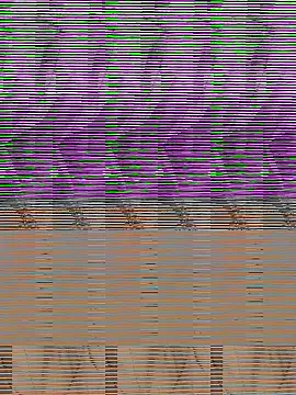 Sakura_2000 live sex cam