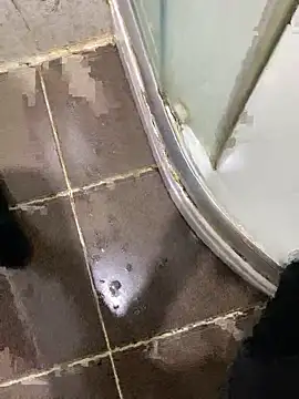 BatchedTracer's cam snapshot