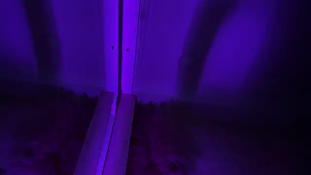 TyagoRoberts_ live sex cam