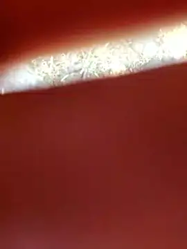 Cute_Pari9's cam snapshot