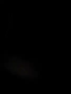 universitario-col's cam snapshot