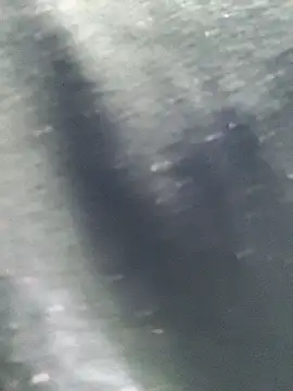 Ananya_34's cam snapshot