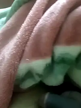 SizeRecall's cam snapshot