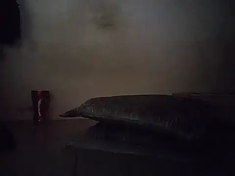 oz22932's cam snapshot