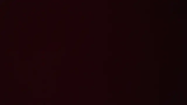 Evelyn_A live sex cam