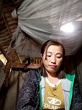 seacyre's cam snapshot