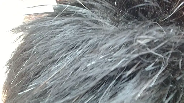 sonyx's cam snapshot