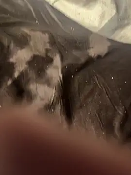 YoungVibe live sex cam