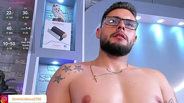 dominic_de_luca's cam snapshot