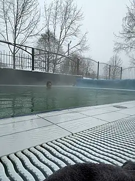 LaVitaBelle live sex cam