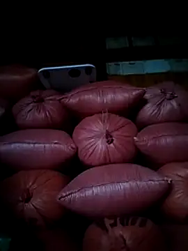 miss-su's cam snapshot