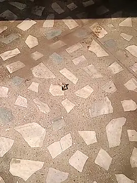 Raj41's cam snapshot