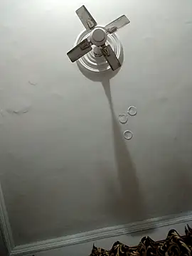 vardh033's cam snapshot