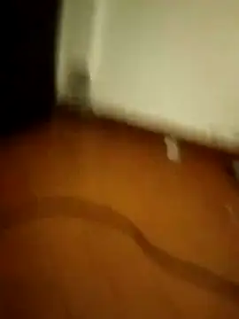 pampa4456's cam snapshot