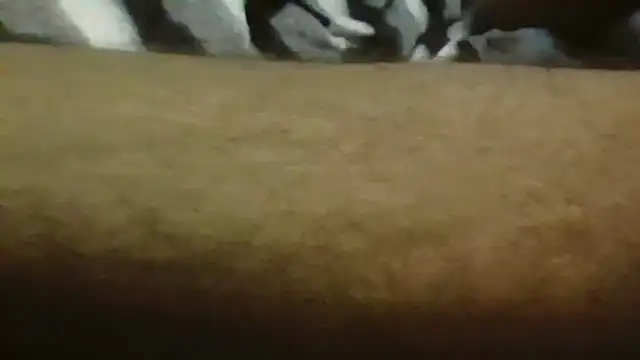 REDDY89's cam snapshot