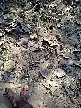 88zaifkhan88 live sex cam