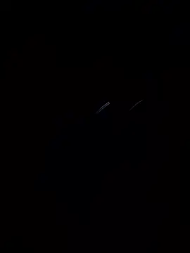 LavergaDeDonAlex's cam snapshot