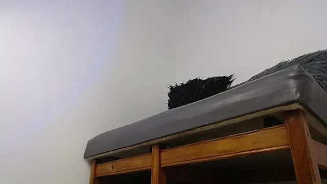 Deysha_Garcias's cam snapshot