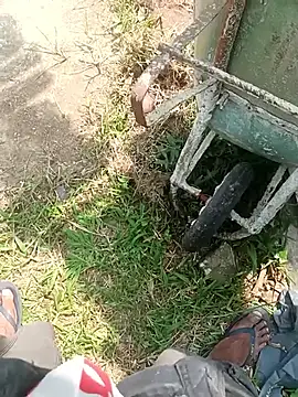 maleesa live sex cam