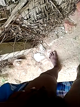 dolphiinn live sex cam