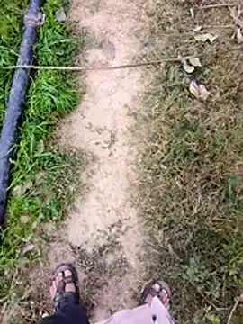 Desi_rockstarr live sex cam