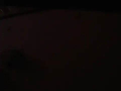 DannaTs1 live sex cam