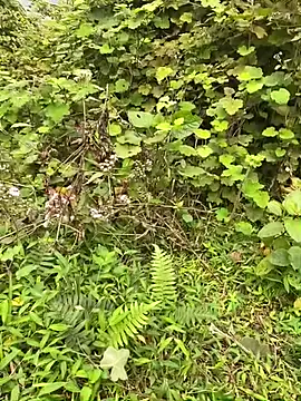 Hot_bitv's cam snapshot