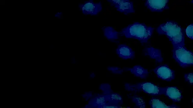 teaseDiana's cam snapshot