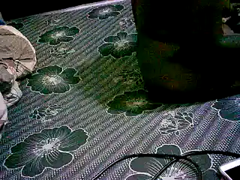 honeypotsweet's cam snapshot