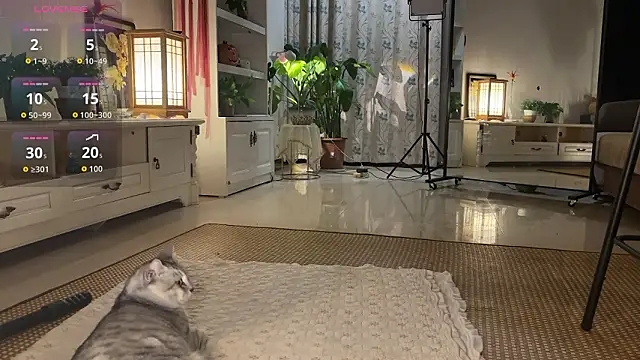 nanaliu6's cam snapshot