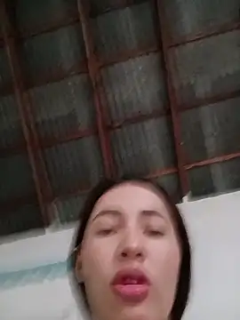 -Nicol's cam snapshot